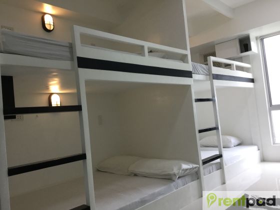 Luxury Bunk Beds Good for People Avida Towers Cebu  33a210e269