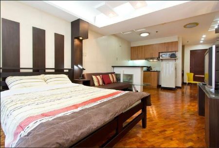 Studio 36sqm Fully Furnished Malayan Plaza Ortigas Center Pasig
