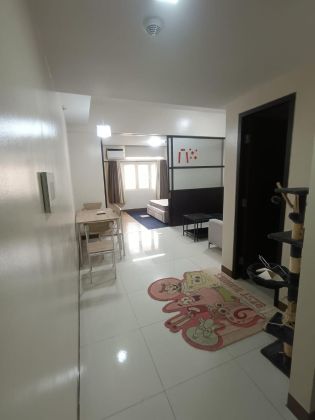 San Antonio Residences 1 Bedroom Unit Furnished