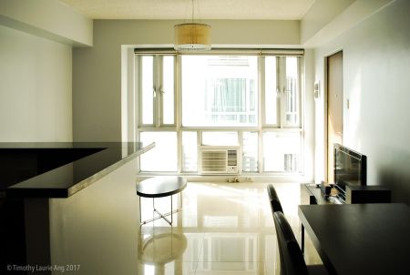 1 Bedroom New Renovated Fully Furnished in Greenbelt Chancellor
