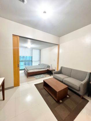 Brand New Fully Furnished 1 Bedroom Unit for Rent