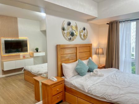 Brand New Fully Furnished Studio in Solinea Tower 4