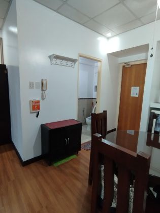 Studio Fully Furnished Unit for Rent in Three Adriatico Place