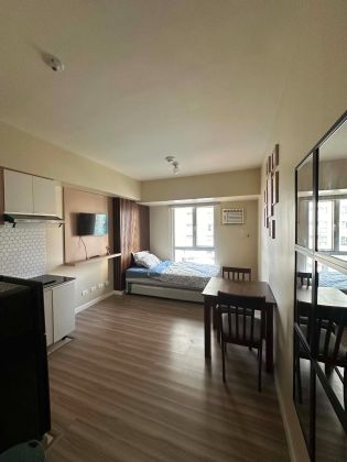 Newly Furnished Studio at IT Park