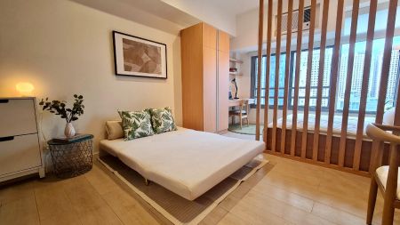 Cozy Newly Renovated Fully Furnished Premier Studio 