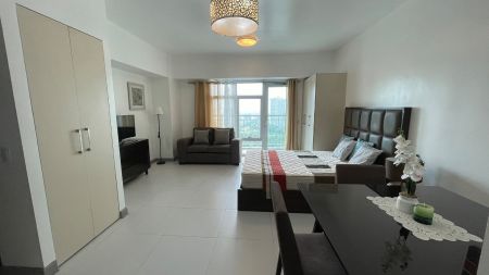 Studio Unit Furnished for Rent in Two Serendra