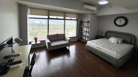 Pet Friendly Studio for at Cdc Millennium Ortigas