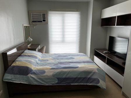 New and Well furnished Studio at Avida Riala