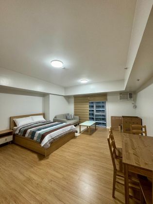 Studio Unit for Rent in Park Triangle Residences